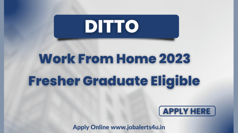 Ditto Off Campus Hiring 2023